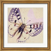 Lavender Butterfly on Cream Fine Art Print