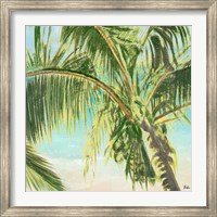 Bright Coconut Palm II Fine Art Print
