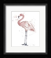 Flamingo Stand I Framed Print