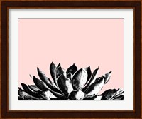 Agave on Blush Fine Art Print