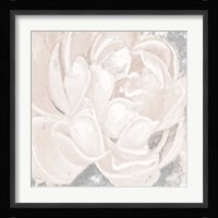 White Grey Flower I Framed Print