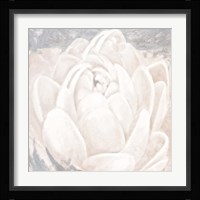 White Grey Flower II Fine Art Print