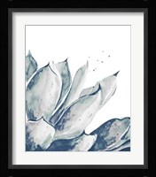 Blue Agave on White II Framed Print