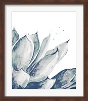 Blue Agave on White II Fine Art Print