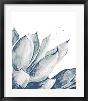 Blue Agave on White II Fine Art Print