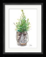 Christmas Fir I Framed Print