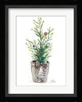 Christmas Fir II Framed Print