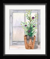 Christmas Fir on Window Fine Art Print