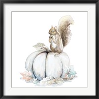 Squirrel and Pumpkin II Framed Print