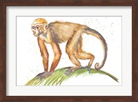 Monkeys in the Jungle II Fine Art Print