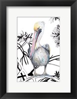 Pelican on Branch I Fine Art Print