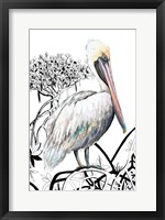 Pelican on Branch II Fine Art Print