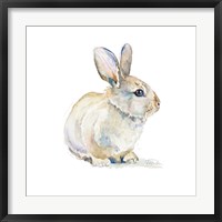 Baby Rabbit Fine Art Print