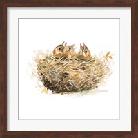 The Nest Fine Art Print