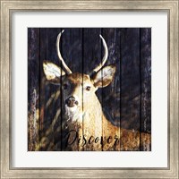 Discover the Beauty Fine Art Print