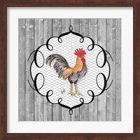 Rooster on the Roost I Fine Art Print