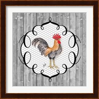 Rooster on the Roost I Fine Art Print