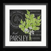 Garden Grown Herbs I Fine Art Print