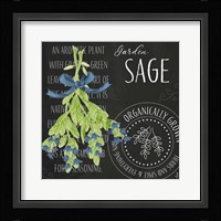 Garden Grown Herbs II Framed Print