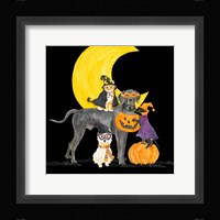 Fright Night Friends II Dog with Pumpkin Framed Print