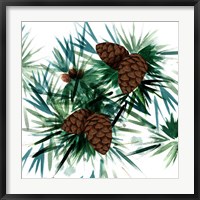 Christmas Hinterland II Pine Cones Fine Art Print