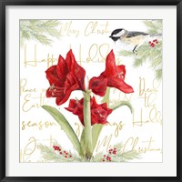 Merry Amaryllis I Fine Art Print