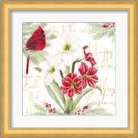 Merry Amaryllis II Fine Art Print