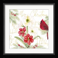 Merry Amaryllis III Framed Print