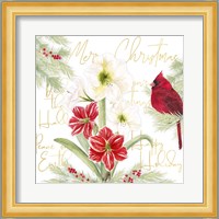 Merry Amaryllis III Fine Art Print