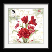 Merry Amaryllis IV Framed Print