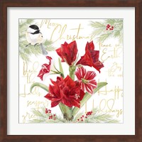 Merry Amaryllis IV Fine Art Print