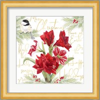 Merry Amaryllis IV Fine Art Print