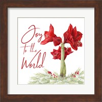 Merry Amaryllis V Fine Art Print