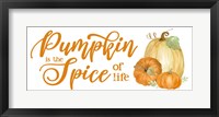 Pumpkin Spice Season panel II Fine Art Print