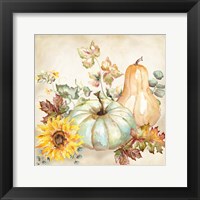 Watercolor Harvest Pumpkin II Framed Print