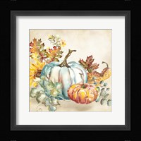 Watercolor Harvest Pumpkin III Framed Print