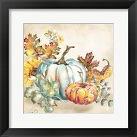 Watercolor Harvest Pumpkin III Framed Print