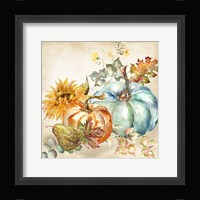 Watercolor Harvest Pumpkin IV Framed Print