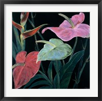 In Bloom II Fine Art Print