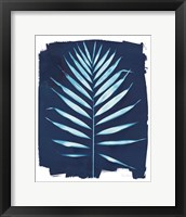 Nature By The Lake - Frond IV Framed Print