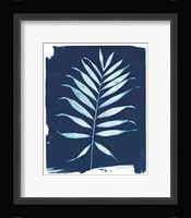 Nature By The Lake - Frond I Framed Print