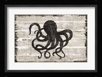 Driftwood Coast IV Framed Print