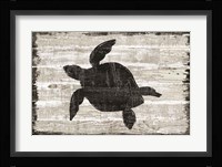 Driftwood Coast III Framed Print
