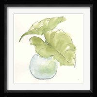Plant Big Leaf III Framed Print