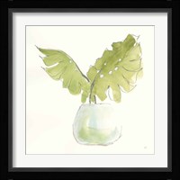 Plant Big Leaf II Framed Print