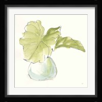Plant Big Leaf I Framed Print