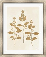 Botanical Study IV Gold Crop Fine Art Print
