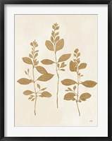 Botanical Study IV Gold Crop Framed Print