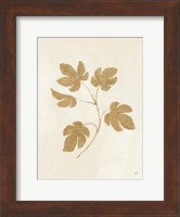 Botanical Study III Gold Crop Fine Art Print