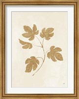 Botanical Study III Gold Crop Fine Art Print